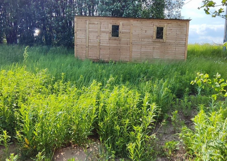 земля городской округ Переславль-Залесский, деревня Красная Деревня фото 1