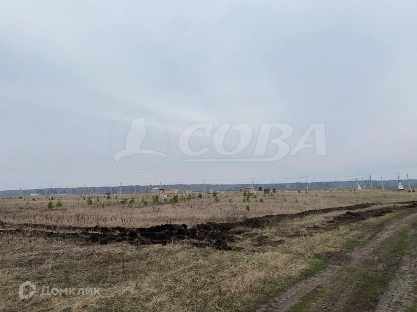 земля р-н Тюменский село Кулига фото 1