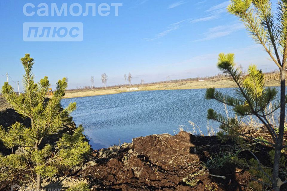 земля г Тюмень городской округ Тюмень, садовое товарищество Липовый Остров фото 1