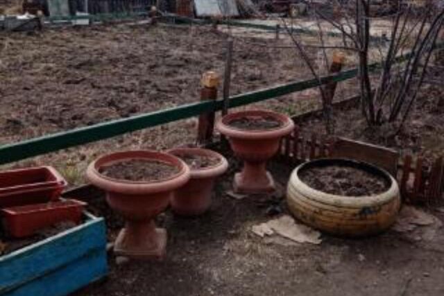 с Маган городской округ Якутск, садово-огородническое товарищество Кынат фото