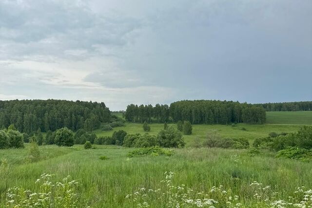 деревня Усово фото