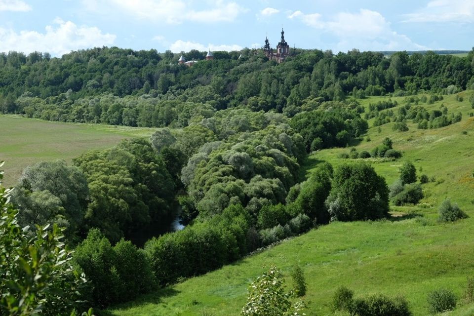 земля р-н Козельский д Шамордино ул Заречная фото 1