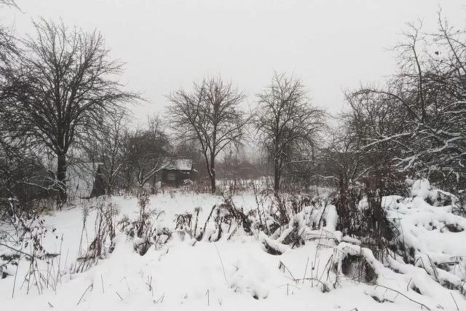 земля р-н Брянский с Толмачево СДТ Мир фото 1