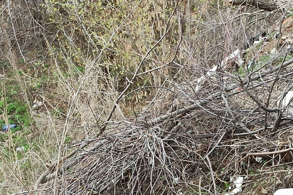 земля г Набережные Челны р-н Комсомольский городской округ Набережные Челны, посёлок Кумыс фото 1