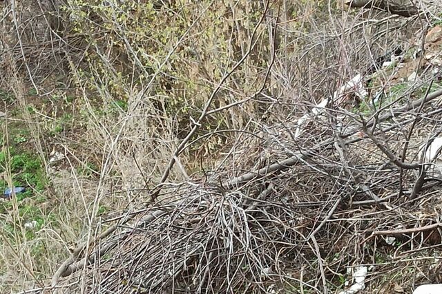 земля г Набережные Челны р-н Комсомольский городской округ Набережные Челны, посёлок Кумыс фото