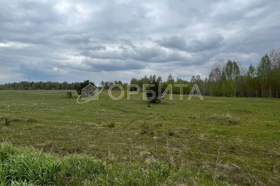 земля р-н Нижнетавдинский посёлок Торгили фото 1