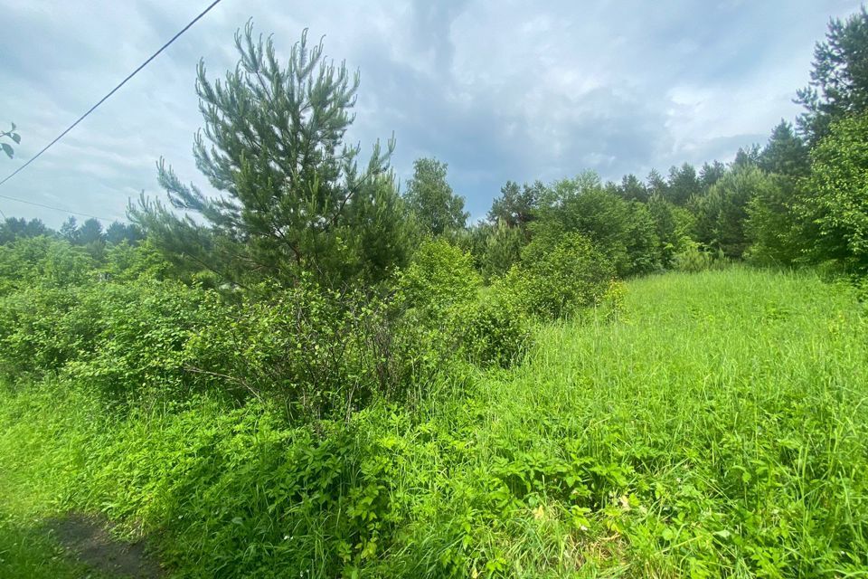 земля г Горно-Алтайск городской округ Горно-Алтайск, СНТ Медик фото 2