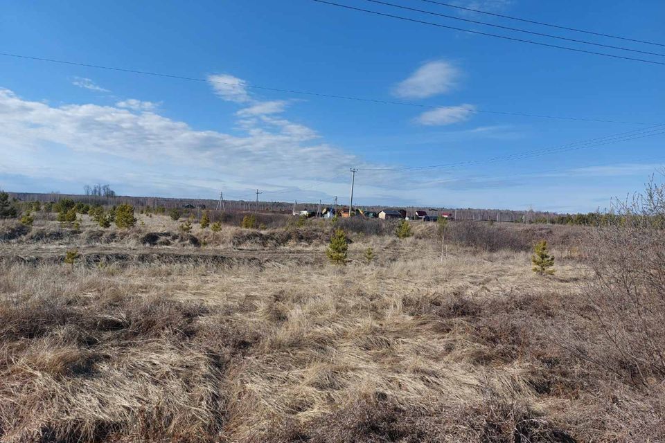 земля р-н Нижнетавдинский садоводческое товарищество У Сосны фото 3