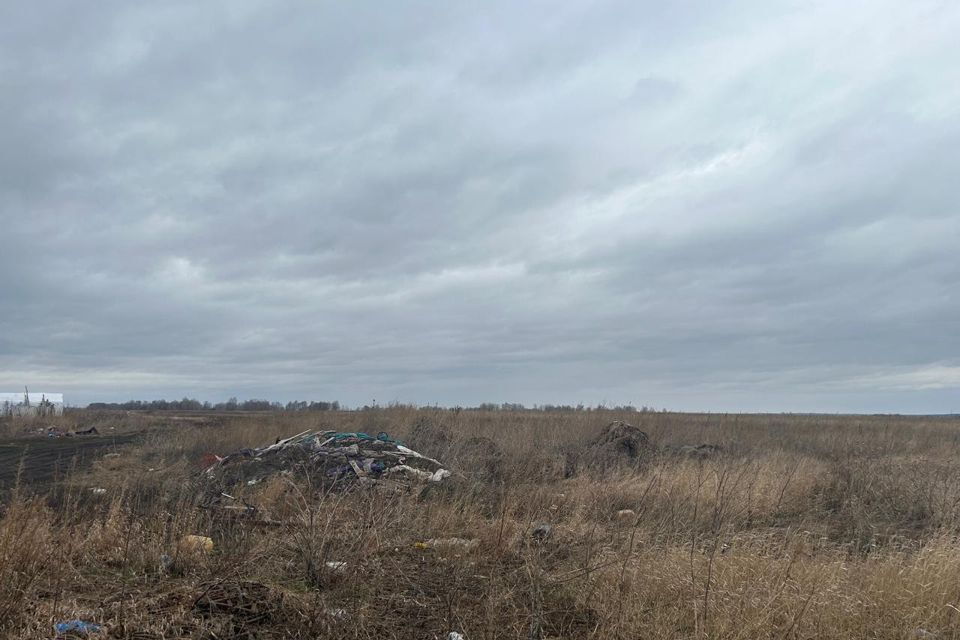 земля р-н Сухобузимский Шилинский сельсовет фото 2