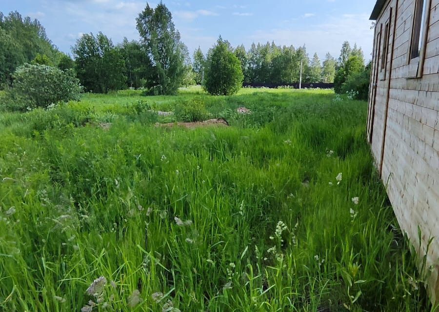 земля городской округ Переславль-Залесский, деревня Красная Деревня фото 2