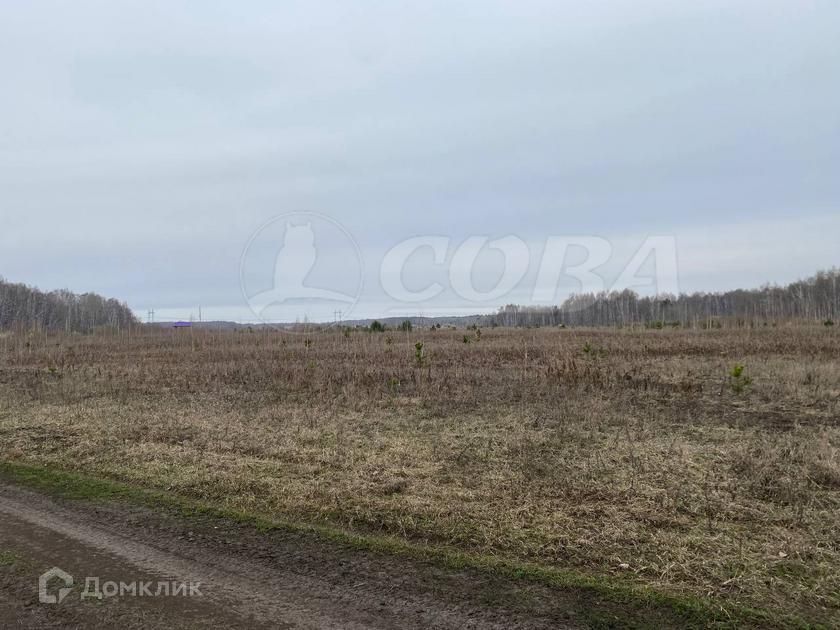 земля р-н Тюменский село Кулига фото 2