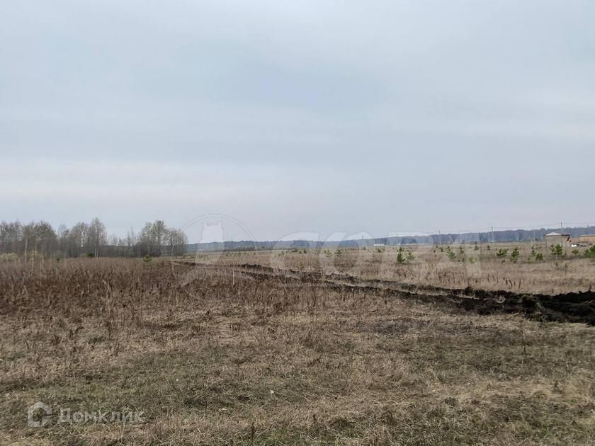 земля р-н Тюменский село Кулига фото 3