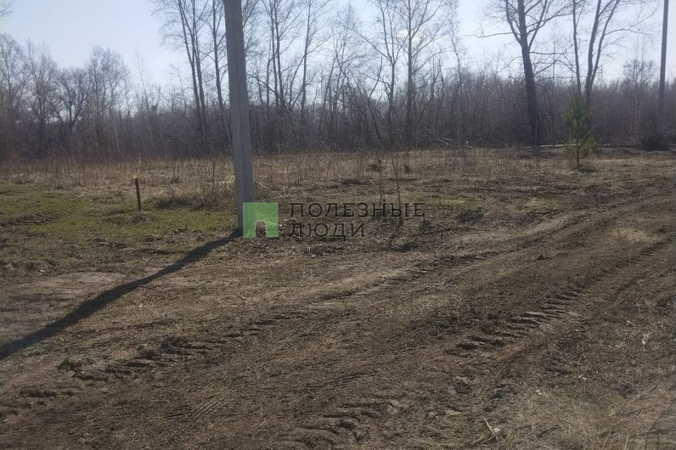 земля р-н Первомайский с Берёзовка ул Гоголя 53 фото 3