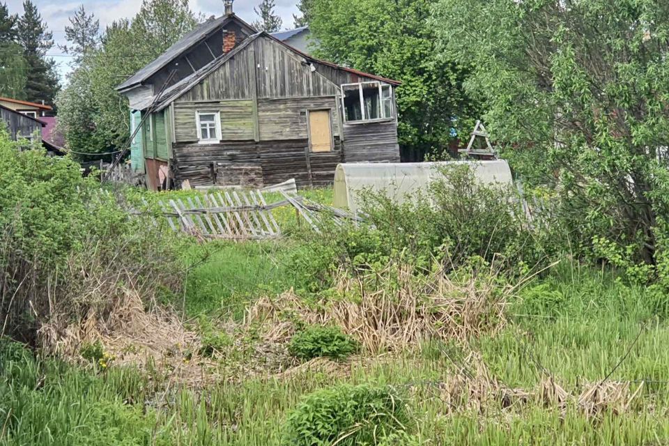 земля р-н Приморский деревня Волохница фото 4