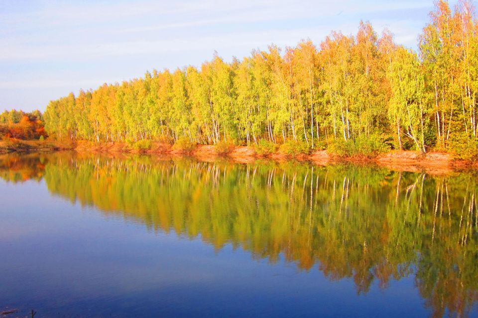 земля р-н Заокский село Домнино фото 3