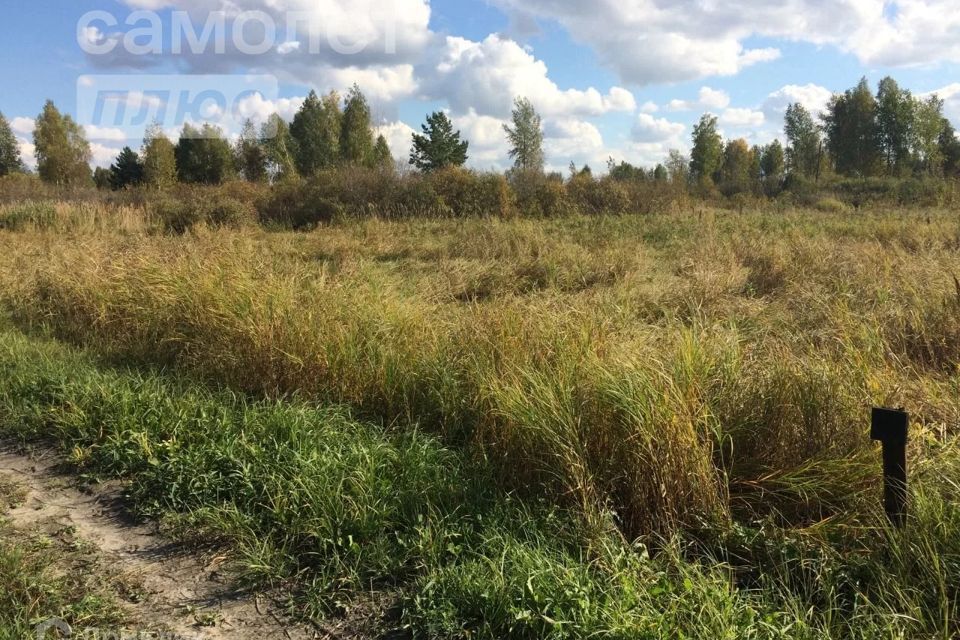 земля г Тюмень городской округ Тюмень, садовое товарищество Липовый Остров фото 2