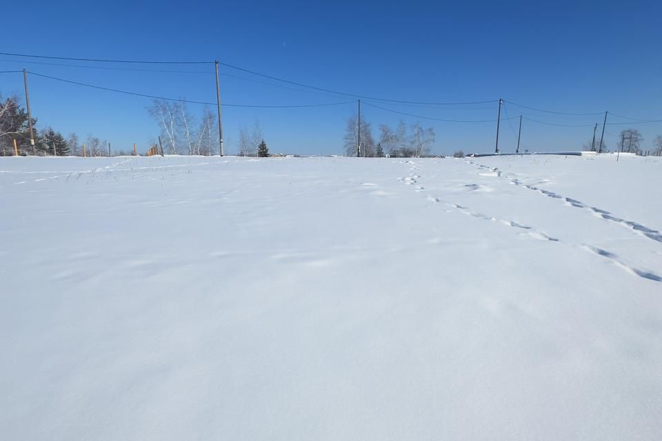 земля г Якутск городской округ Якутск, садово-огородническое некоммерческое товарищество Сатал фото 2