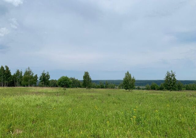 Иваньковское, Московская область, Ступино, муниципальное образование фото