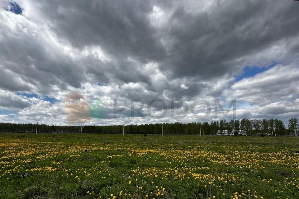 земля р-н Ирбитский Екатеринбург, село Горный Щит фото 2