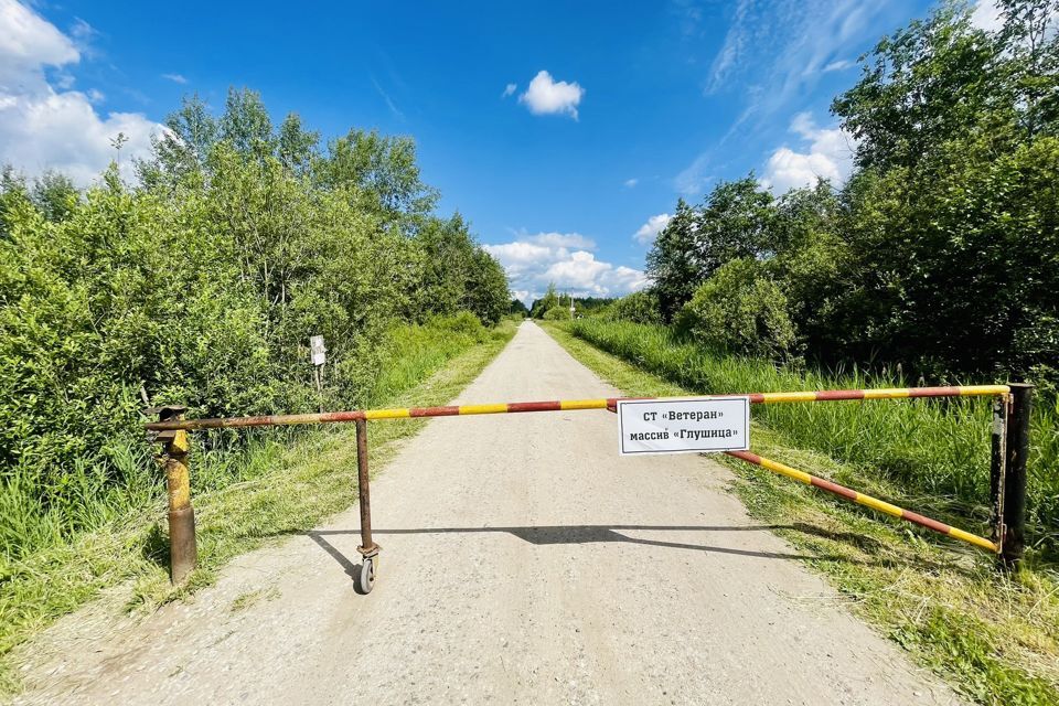 земля р-н Новгородский СНТ Ветеран фото 1