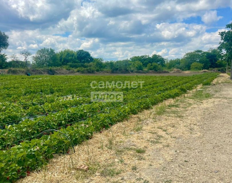 земля р-н Новокубанский г Новокубанск ул Можайская 17 фото 4