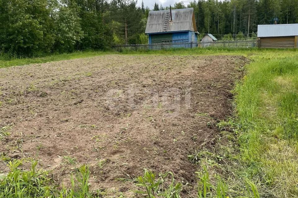 земля р-н Сыктывдинский садоводческое товарищество Находка фото 1