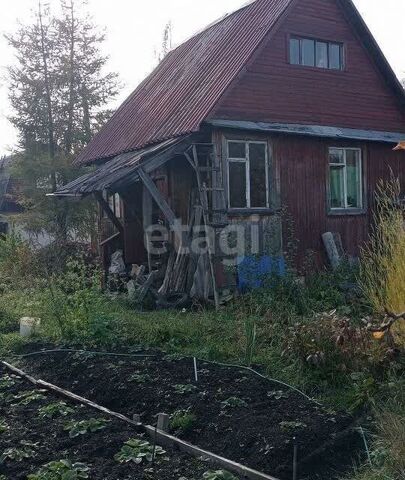 городской округ Верхняя Пышма, СНТ Простоквашино фото