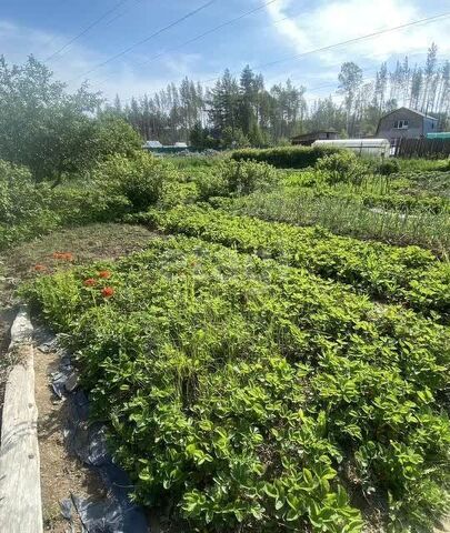 земля р-н Чкаловский Екатеринбург, СНТ Родник, муниципальное образование фото