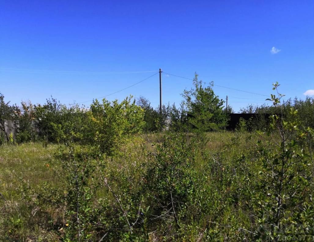 земля городской округ Раменский д Рыбаки ул Садовая Раменское фото 3