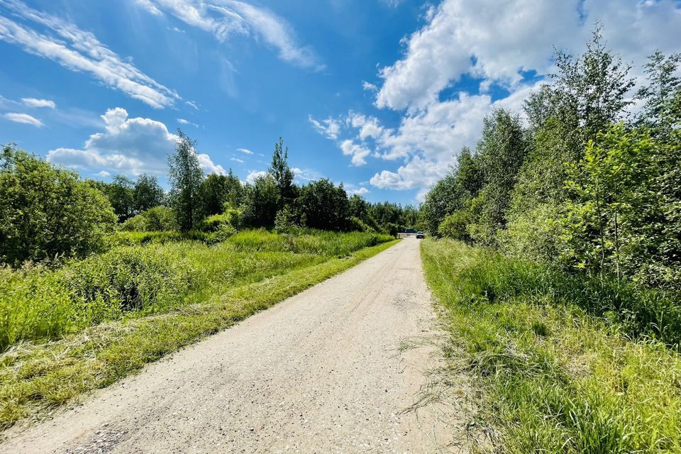 земля р-н Новгородский СНТ Ветеран фото 4