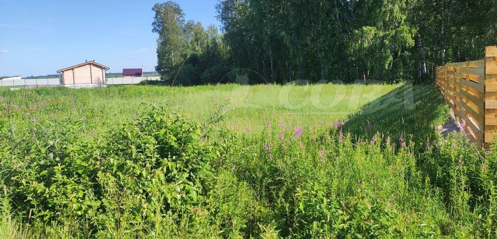 земля р-н Тюменский д Молчанова Новотарманское сельское поселение фото 2