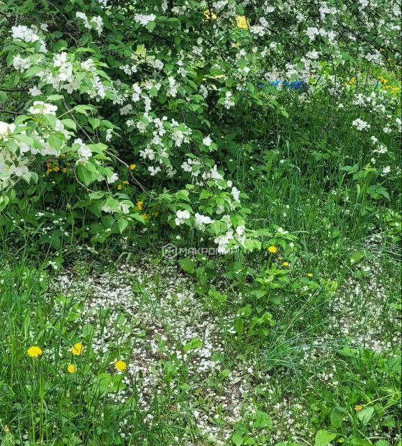 дом городской округ Сургут, садовое товарищество Прибрежный-1, Лесная улица, 532 фото 2