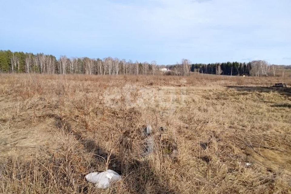 земля городской округ Староуткинск, посёлок городского типа Староуткинск фото 2