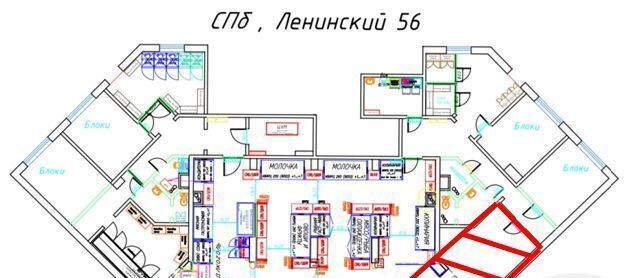 свободного назначения г Санкт-Петербург р-н Красносельский пр-кт Ленинский 56 округ Южно-Приморский фото 3