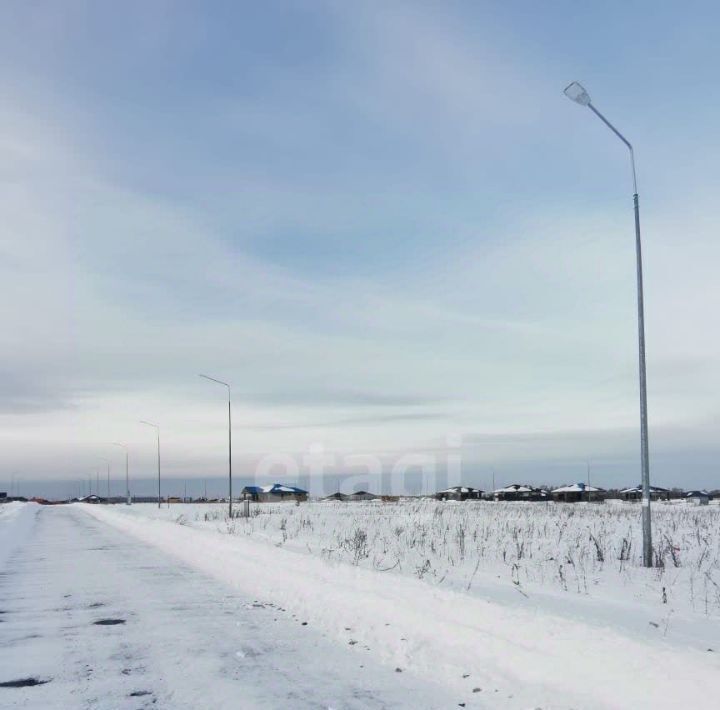 земля р-н Тюменский Онегин кп, ул. Мирная фото 4