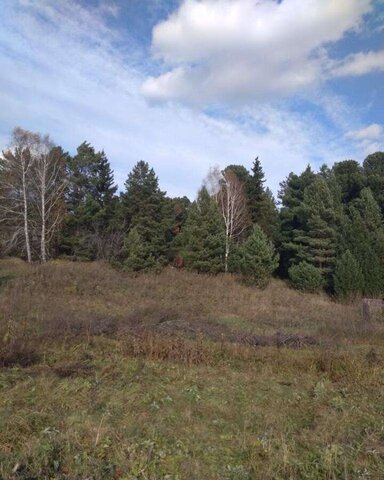 земля с Богашево Богашёвское сельское поселение, садоводческое некоммерческое товарищество Нива фото
