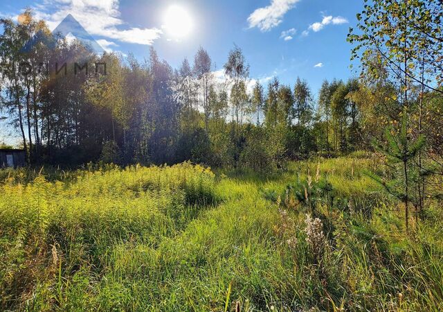 земля д Образцово Туношенское сельское поселение, Ярославль фото