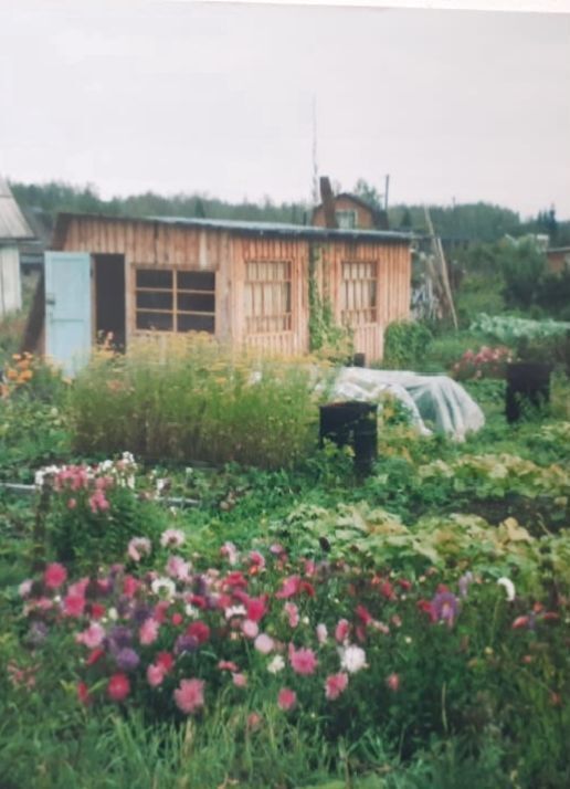 земля р-н Красносельский Гридинское сельское поселение, садовые участки, Караваево фото 1