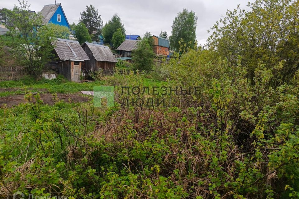 земля городской округ Сыктывкар, СНТ Нептун, 3-й проезд фото 6