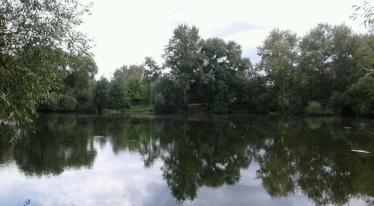 земля городской округ Серебряные Пруды Серебряные Пруды фото 3