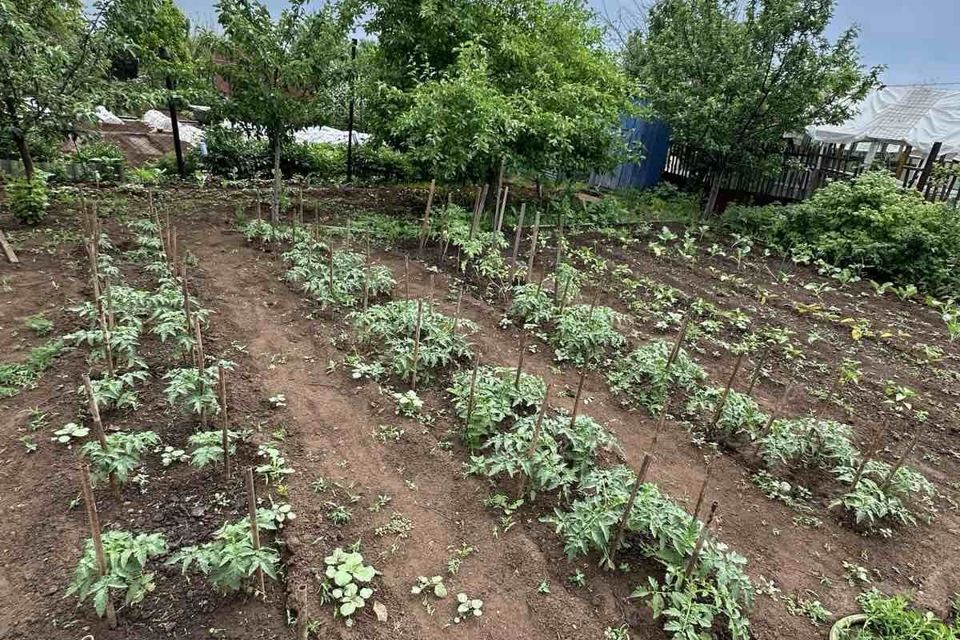 дом г Оренбург р-н Ленинский снт тер.Янтарь городской округ Оренбург, улица 33-й Ряд фото 8