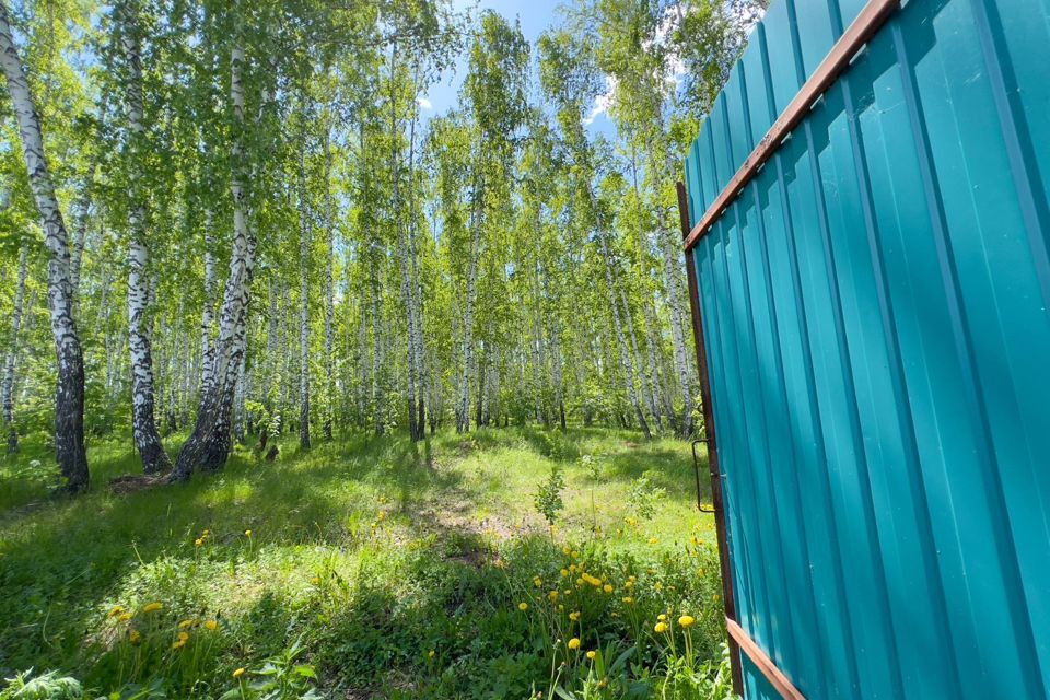 дом р-н Сосновский посёлок Есаульский фото 8