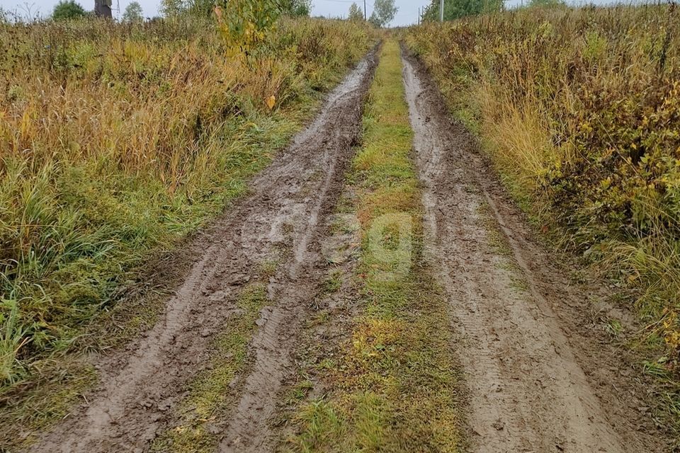 земля г Йошкар-Ола д Акшубино 35, Медведевский район фото 10