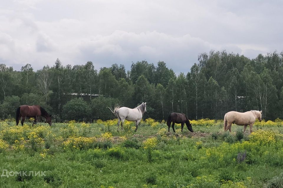 земля р-н Зеленодольский Зеленодольск фото 8