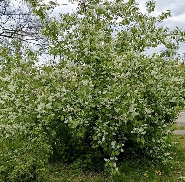 дом г Уссурийск ул Слободская Уссурийский городской округ фото 6