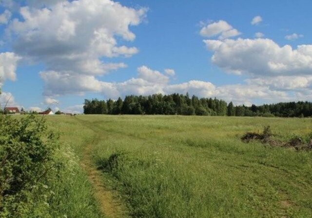 г Струнино муниципальное образование Следневское фото