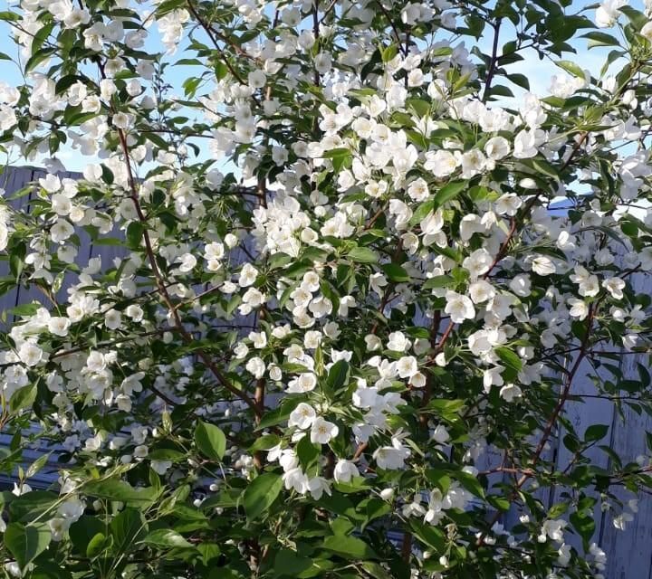 дом г Якутск городской округ Якутск, Набережная улица фото 7