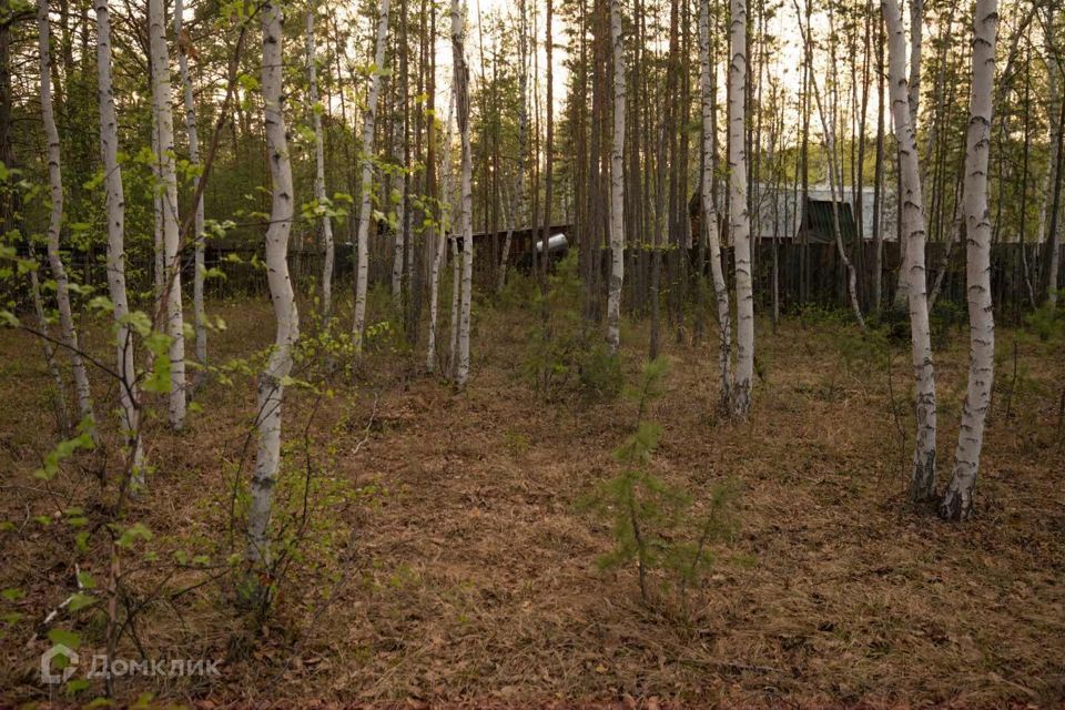 земля г Якутск тер СОТ 70 лет Победы городской округ Якутск, улица Покровский тракт фото 6