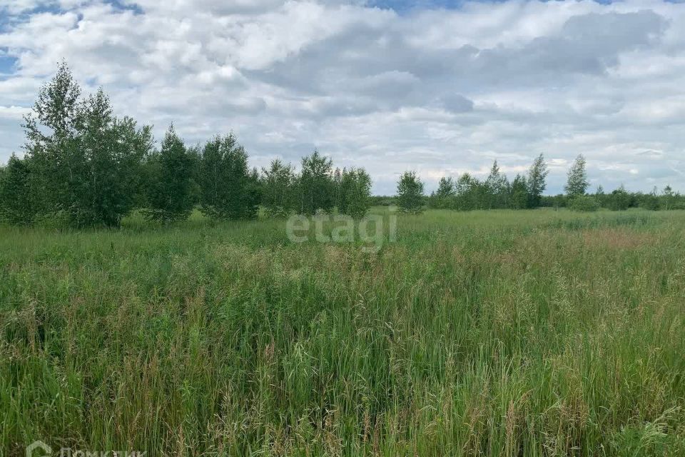 земля р-н Сосновский д Бухарино ул Западная фото 9