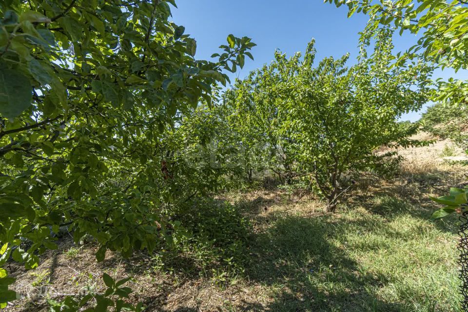 земля г Балаклава ул Арктическая Балаклавский район фото 10